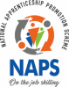 National Apprenticeship Promotion Scheme (NAPS)